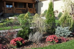 design_landscape (24)
